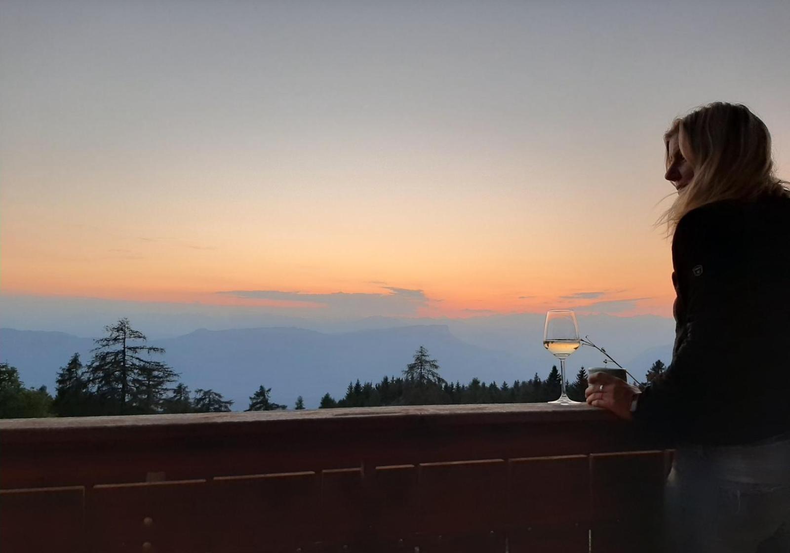 Gasthof Schmiederalm 알디노 외부 사진
