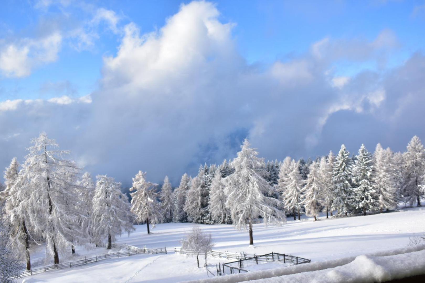 Gasthof Schmiederalm 알디노 외부 사진