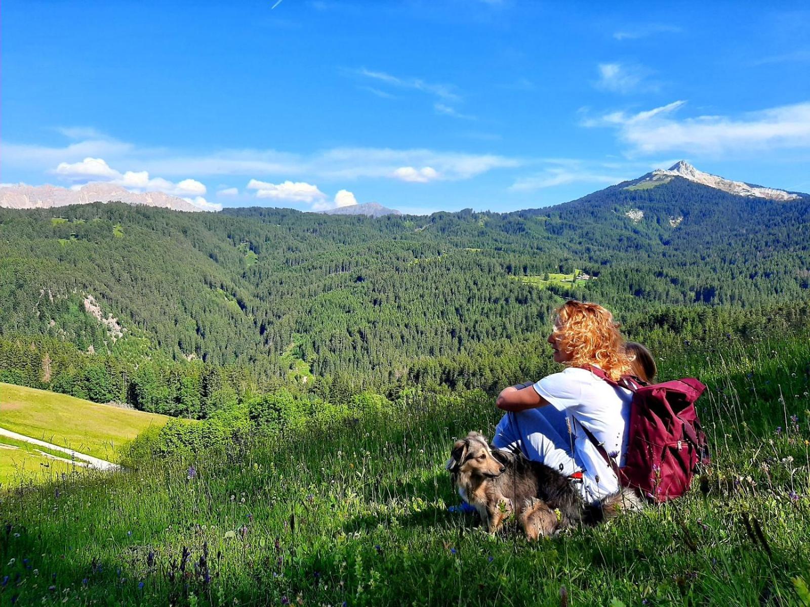 Gasthof Schmiederalm 알디노 외부 사진